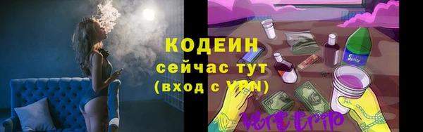 молекула духа Абинск