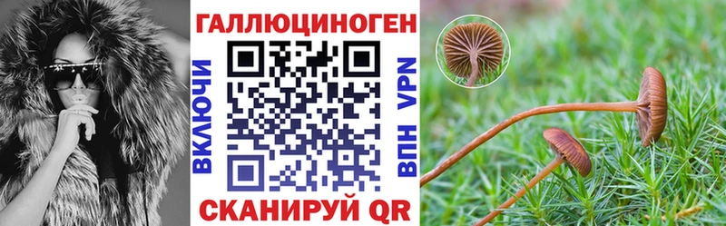 наркотики  hydra tor  нарко площадка официальный сайт  Сольцы  Псилоцибиновые грибы GOLDEN TEACHER 
