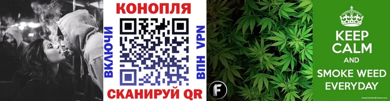 Конопля OG Kush  Сольцы 